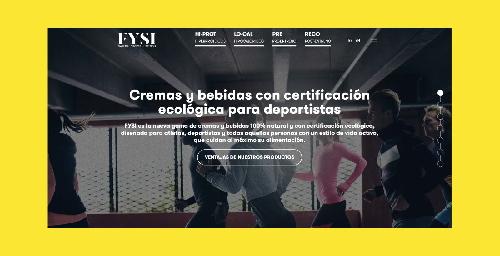 Desarrollo web Cádiz - FYSI